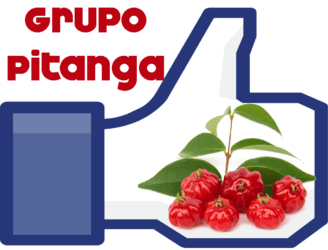 Grupo Pitanga